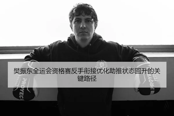 樊振东全运会资格赛反手衔接优化助推状态回升的关键路径
